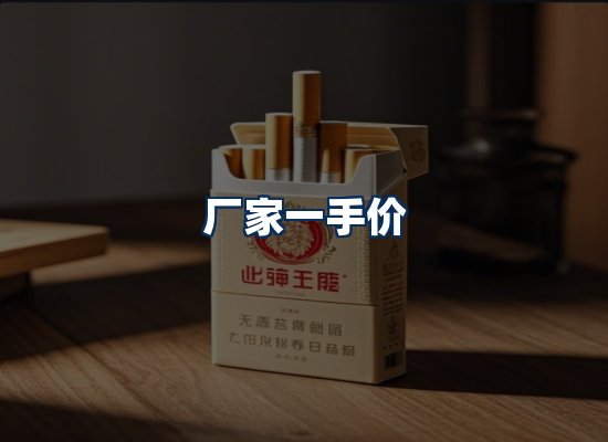 专业团队办公环境